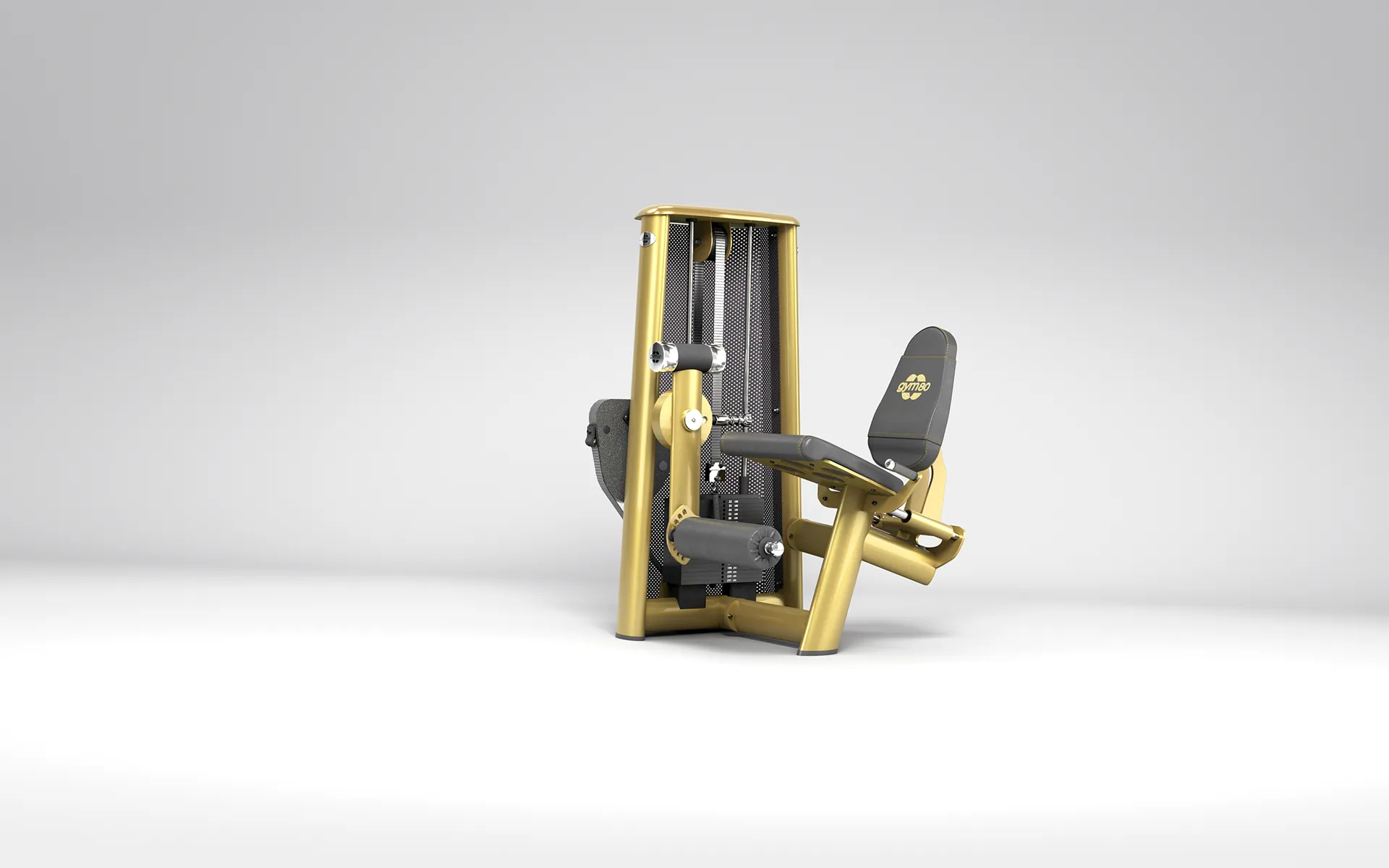 LEG EXTENSION