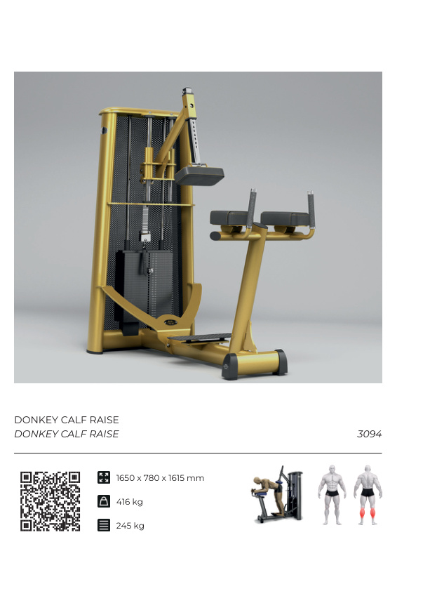 DONKEY CALF RAISE